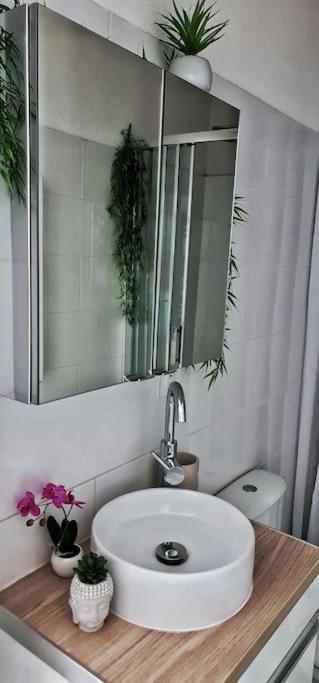Ferienwohnung #New#Terrasse Sud Ouest#Pied De La Cite #1 Carcassonne Exterior foto