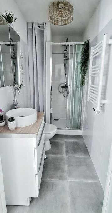 Ferienwohnung #New#Terrasse Sud Ouest#Pied De La Cite #1 Carcassonne Exterior foto